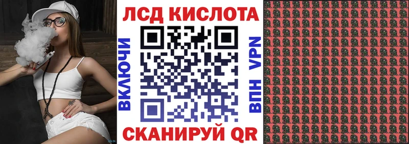 как найти   Губкин  Марки NBOMe 1,8мг 