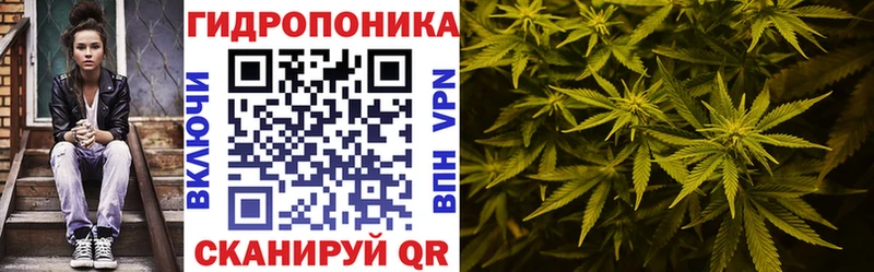 где купить наркотик  Губкин  Шишки марихуана ГИДРОПОН 
